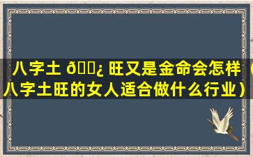 八字土 🌿 旺又是金命会怎样（八字土旺的女人适合做什么行业）